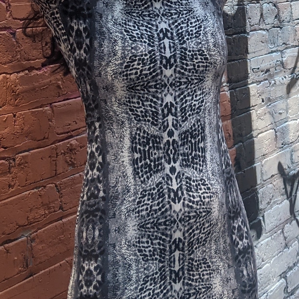 Animal Print Sleeveless Dress